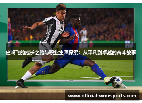 史鸿飞的成长之路与职业生涯探索：从平凡到卓越的奋斗故事